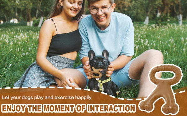 Amazon Cross-border New Dog Interactive Toy Pet Chew Dog Bite Simulation Nylon Toy Molar Dog Bones