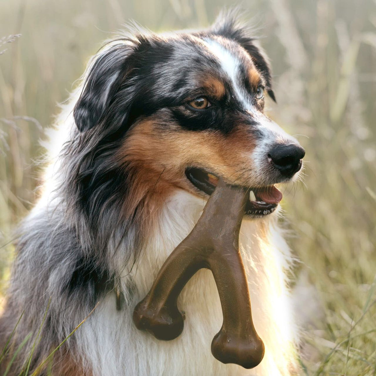 Factory In-Stock Pet Dog Chew Sticks Durable Chew Toys Suitable For Aggressive Pet Dogs