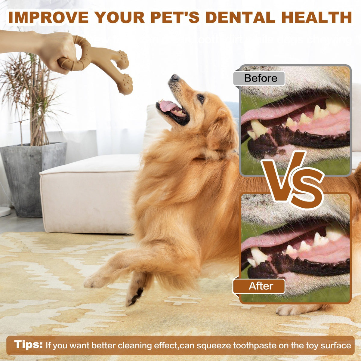 Amazon Cross-border New Dog Interactive Toy Pet Chew Dog Bite Simulation Nylon Toy Molar Dog Bones