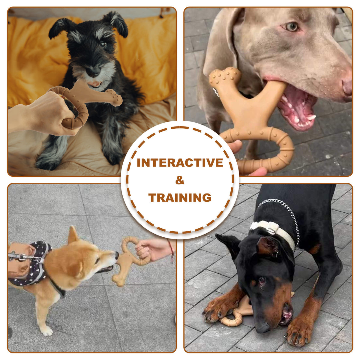 Cross-Border Popular Dog Interactive Toy Pet Chewing Dog Bite Artificial Nylon Toy Molar Dog Bone Ring