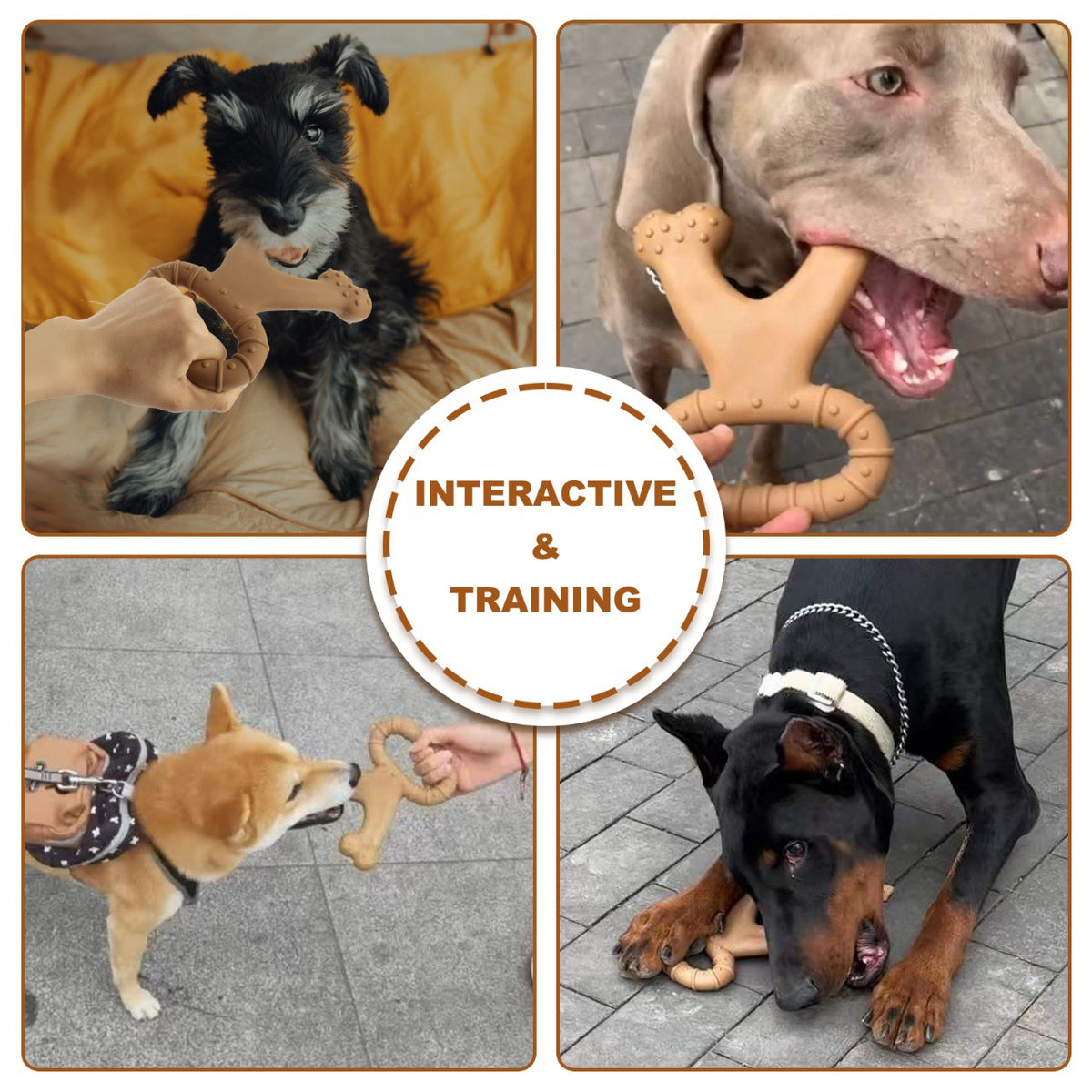 Amazon Cross-border New Dog Interactive Toy Pet Chew Dog Bite Simulation Nylon Toy Molar Dog Bones