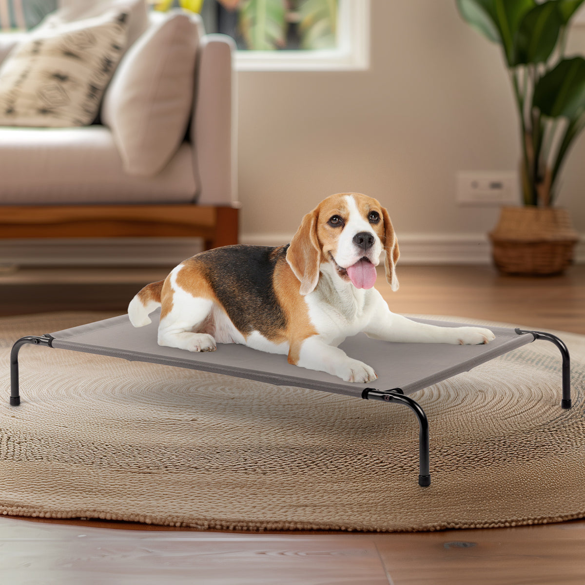 Pet Beds