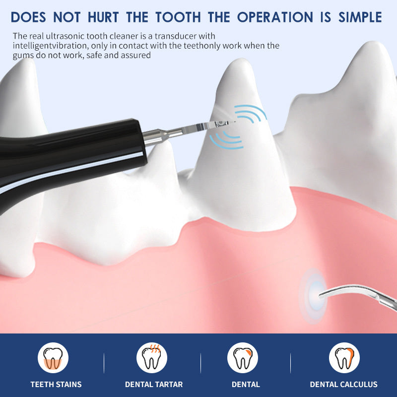 Ultrasonic Pet Teeth Cleaning And Cleaning Device