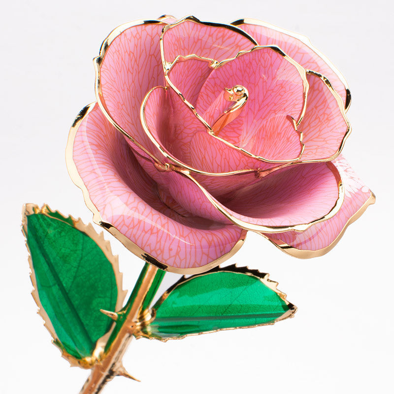 24K Gold-plated Rose Flower With A Gift Box Valentine's Day Gift Pink