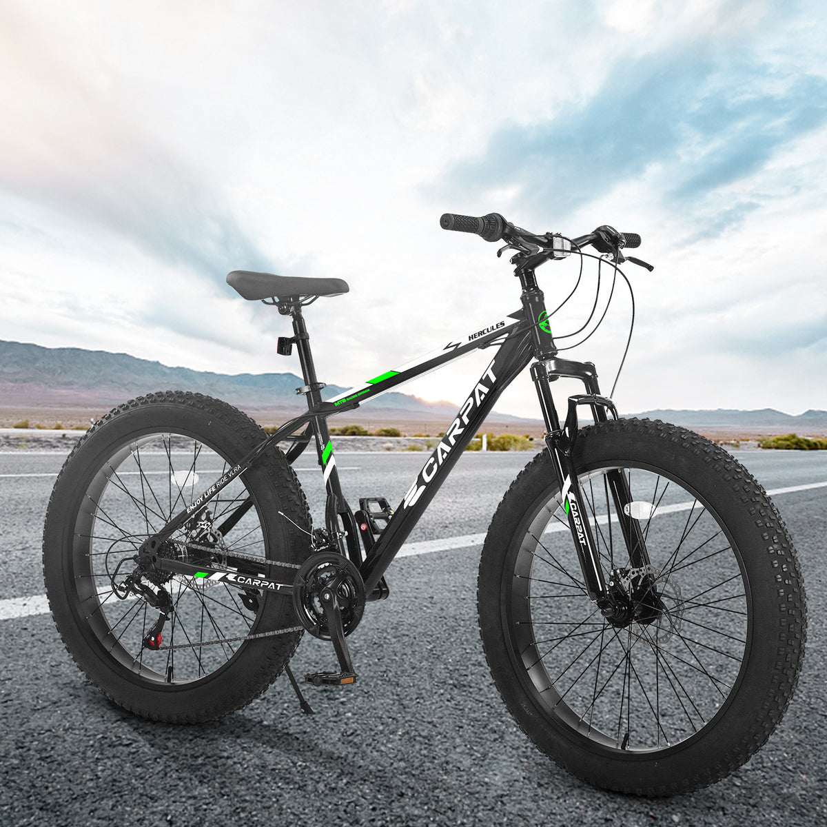 Bicycle S26109-BLACK-GREEN Black green