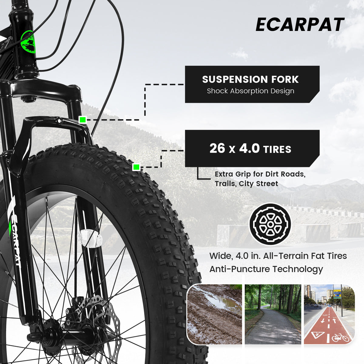 Bicycle S26109-BLACK-GREEN