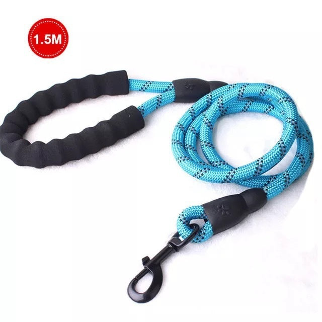 Small Medium Sized Pet Dog Luminous Leash Chain Puppies Blue